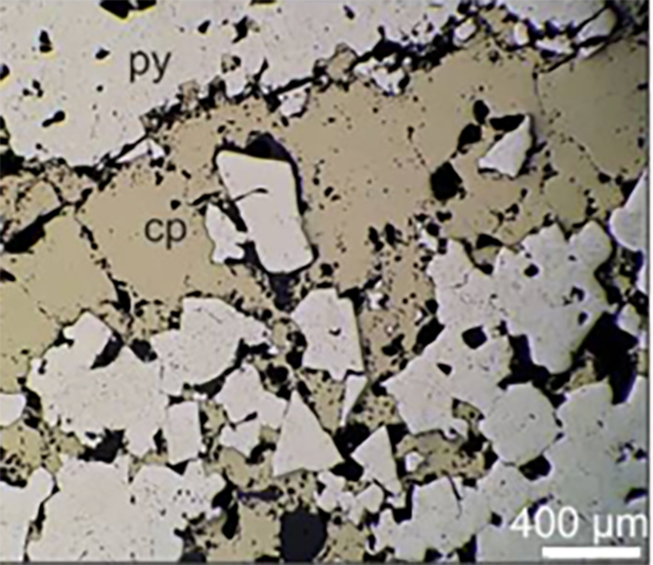 Reflected light microscope image from massive sulphide.